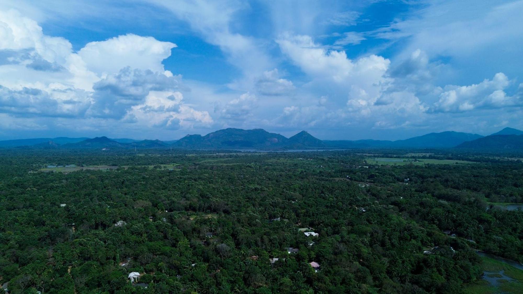 Nature'S Lake View Sigiriya Dambulla Eksteriør bilde