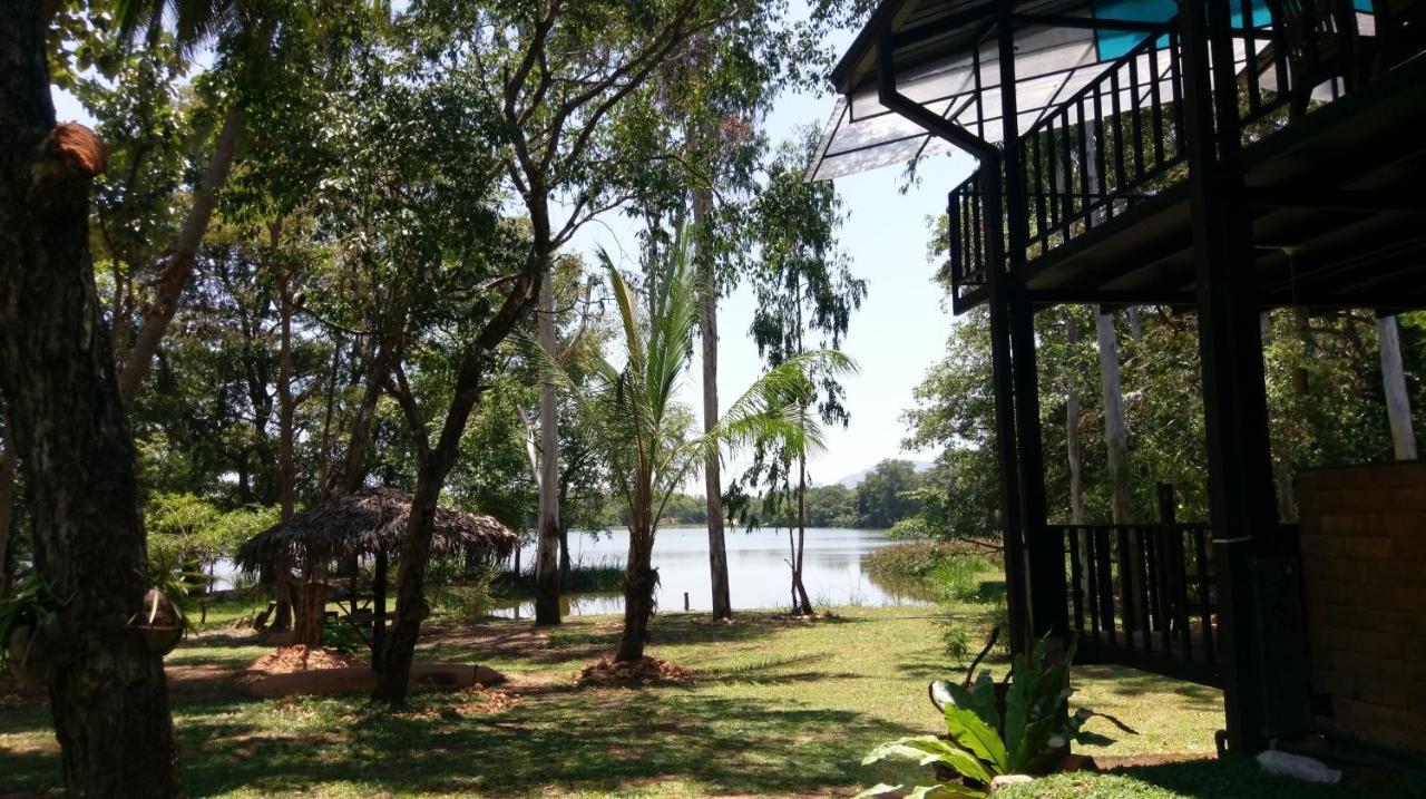 Nature'S Lake View Sigiriya Dambulla Eksteriør bilde